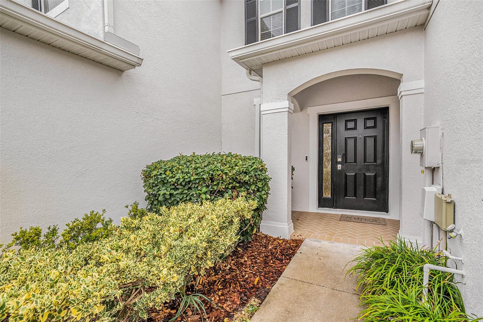 8110 HAMPTON VIEW LN, TAMPA, FL, 33647
