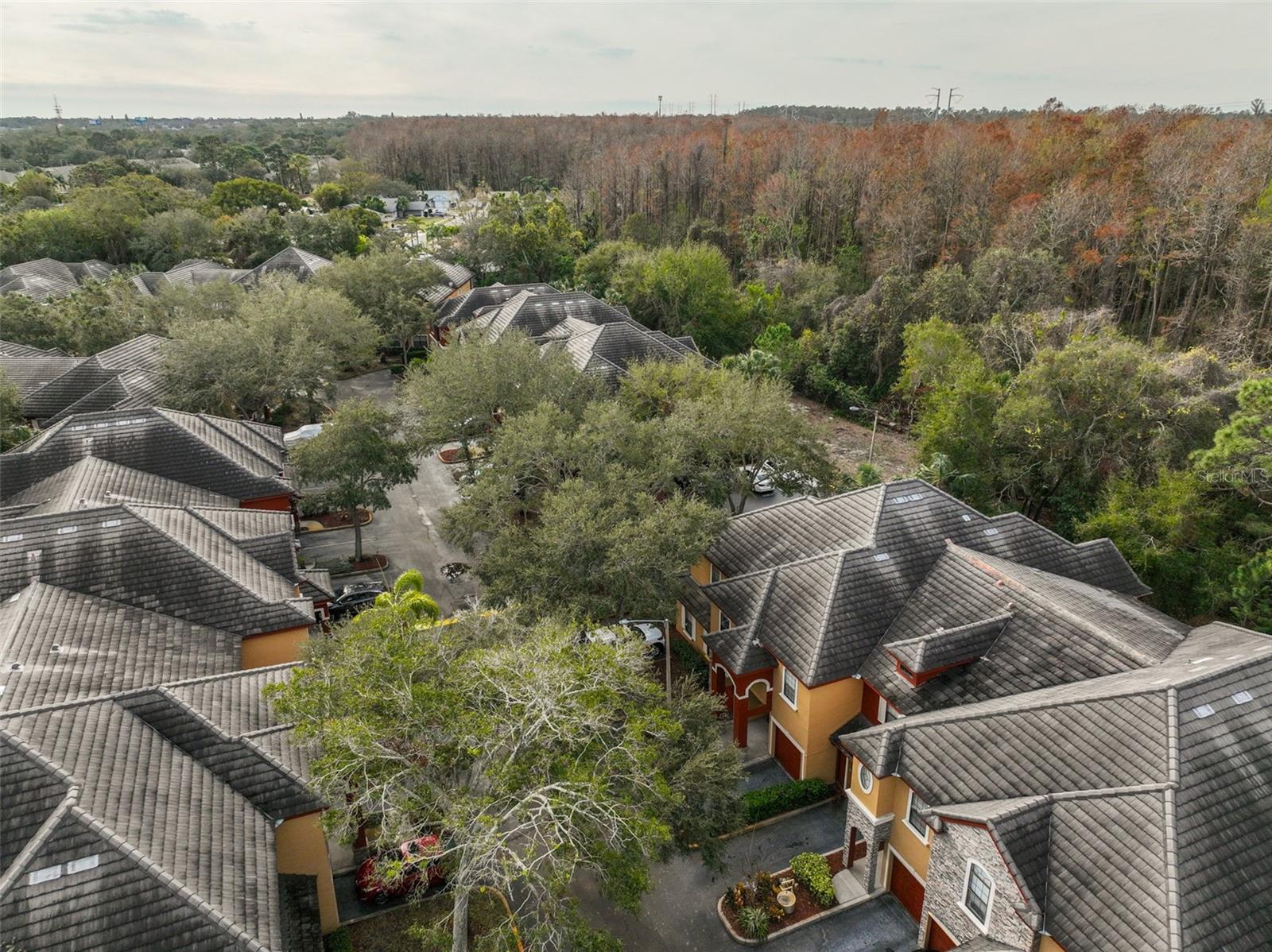 2160 CHIANTI PL #11-0117, PALM HARBOR, FL, 34683