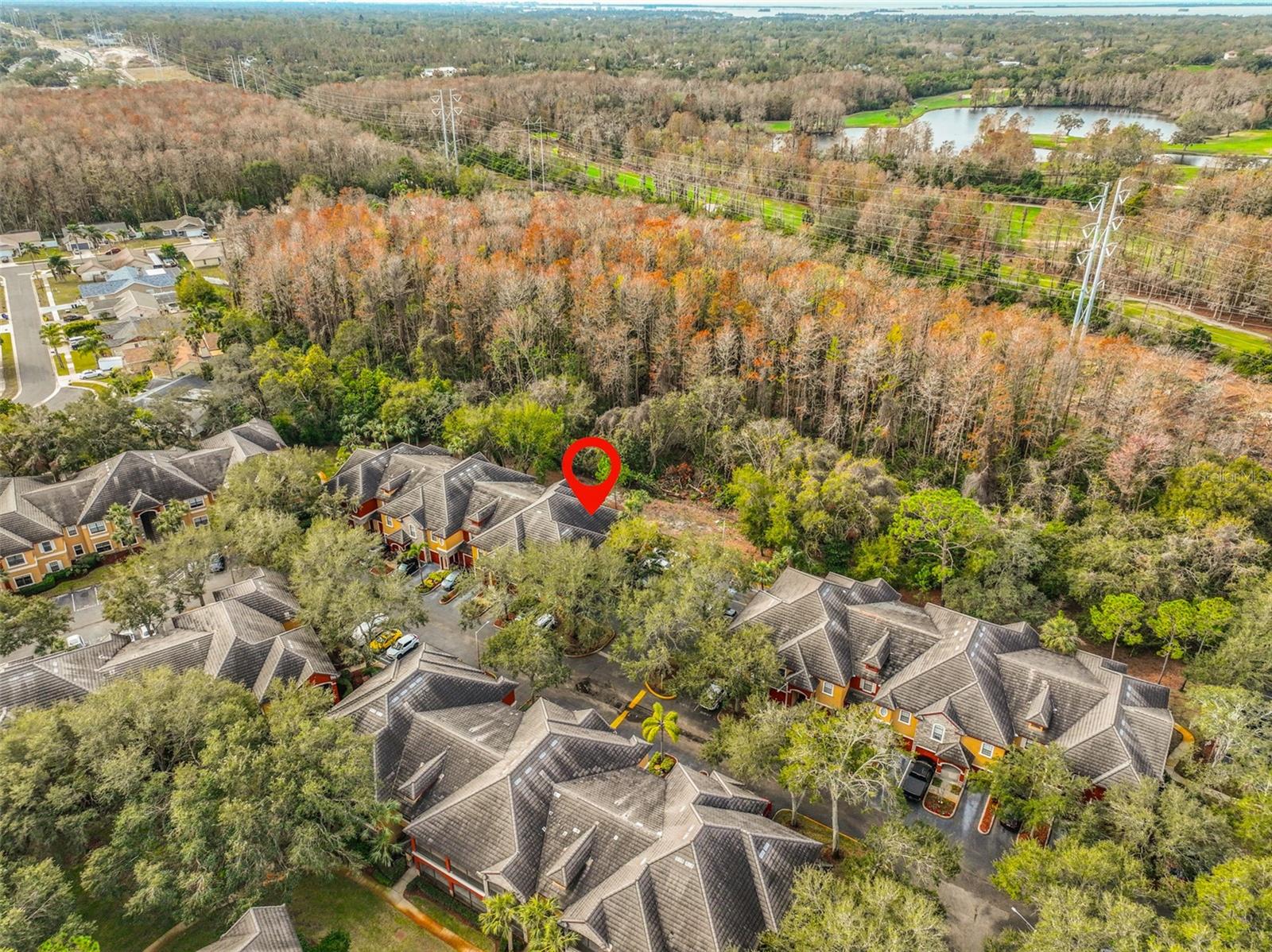 2160 CHIANTI PL #11-0117, PALM HARBOR, FL, 34683