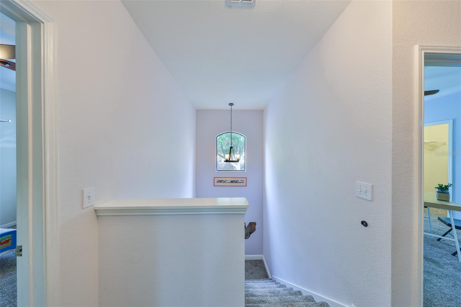 2160 CHIANTI PL #11-0117, PALM HARBOR, FL, 34683