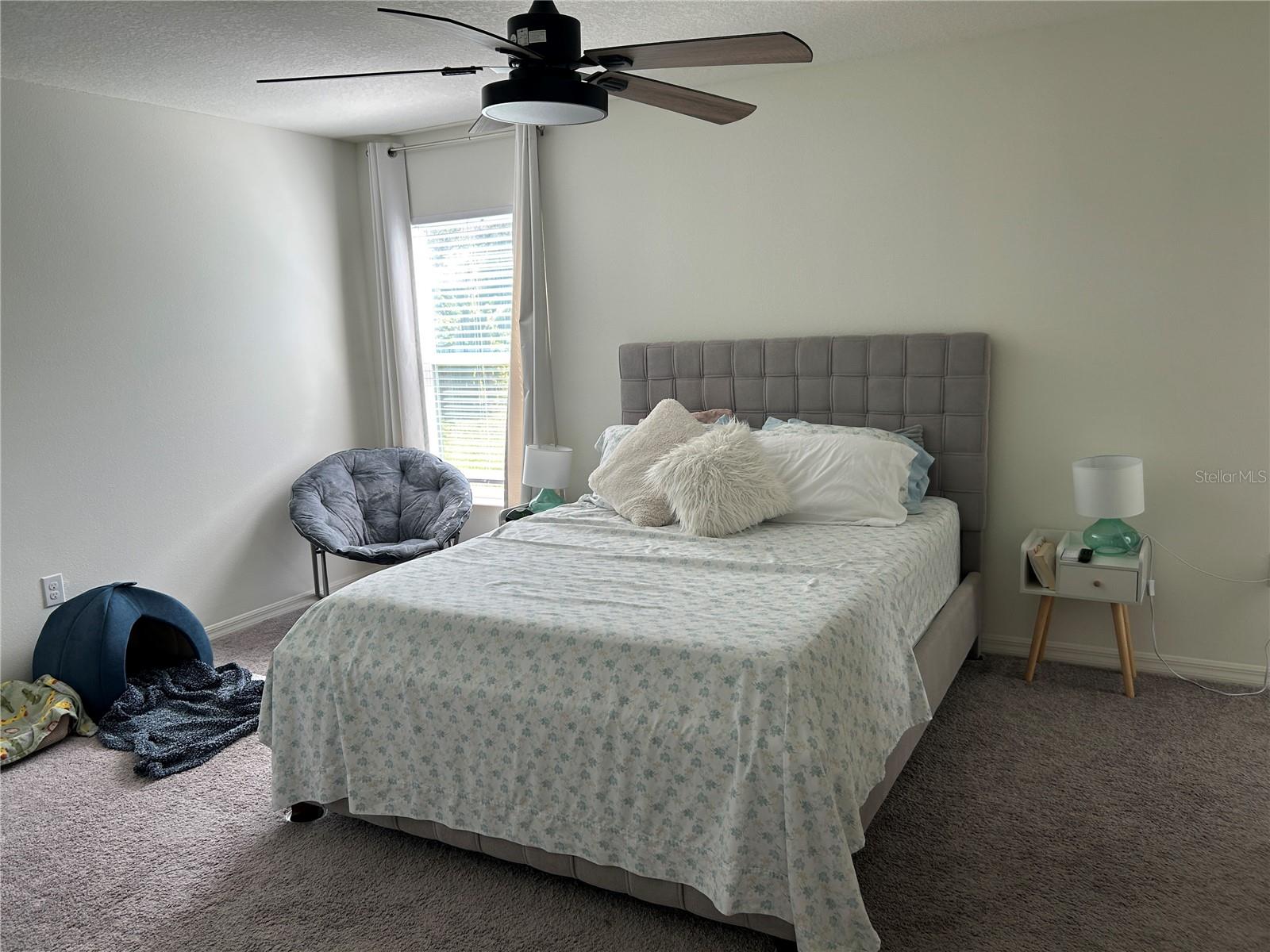 7103 CRUZ CT, LAKELAND, FL, 33813