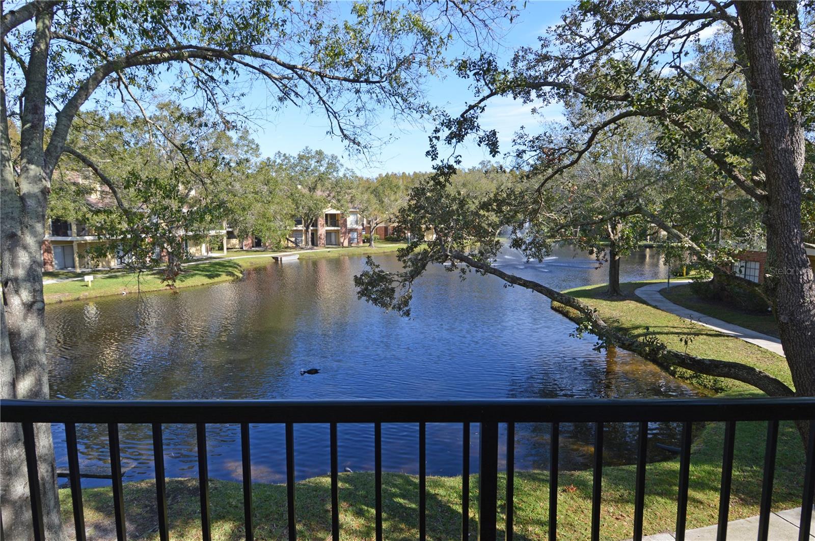 8641 FANCY FINCH DR #204, TAMPA, FL, 33614