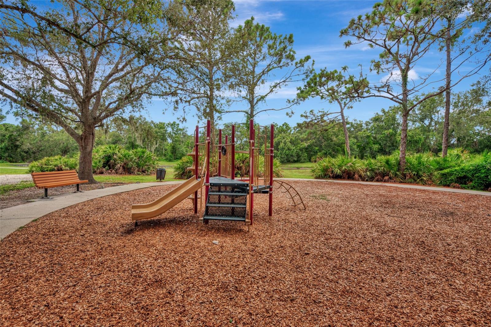 11508 WATER WILLOW AVE, LAKEWOOD RANCH, FL, 34202