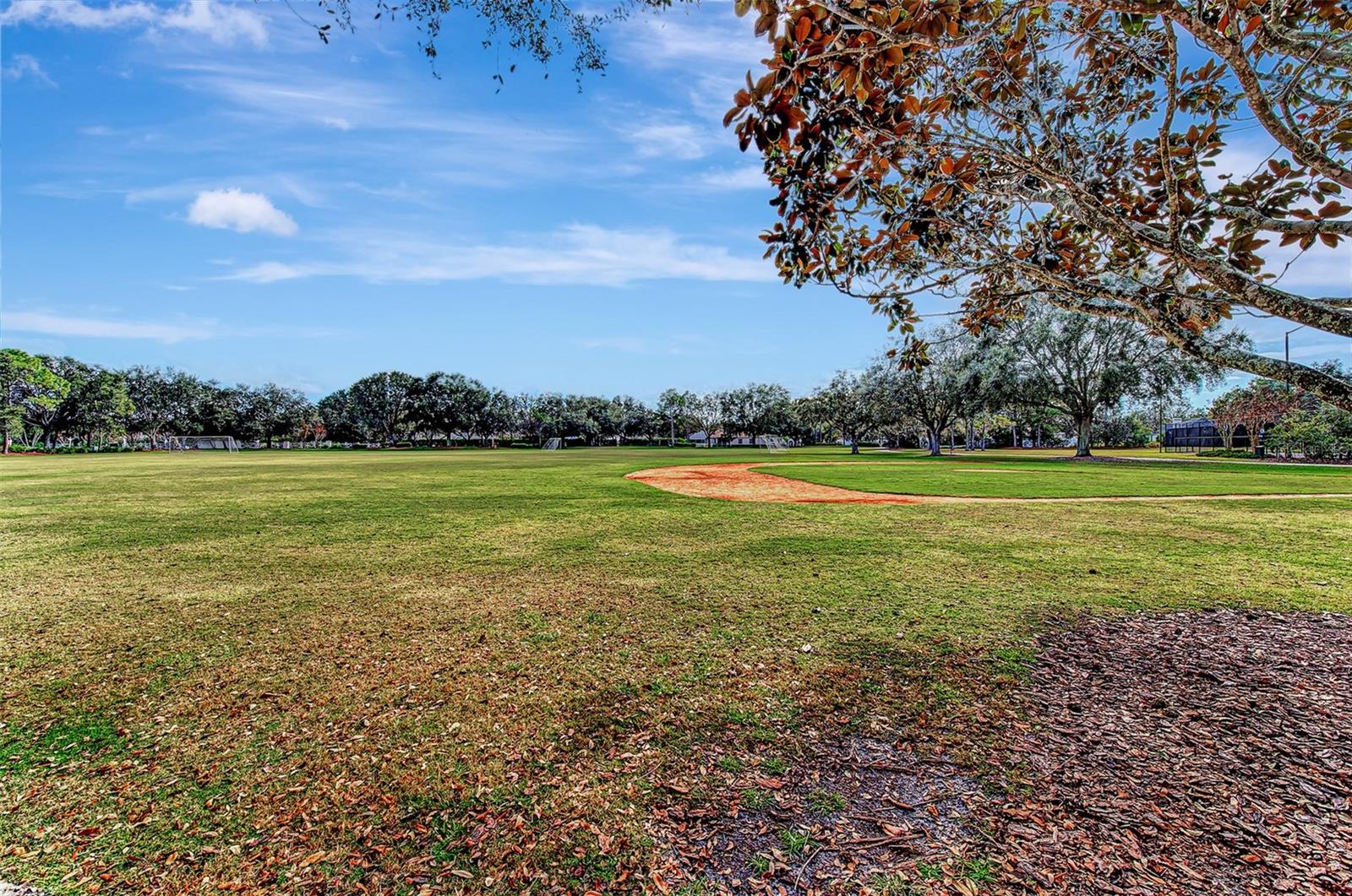 11508 WATER WILLOW AVE, LAKEWOOD RANCH, FL, 34202