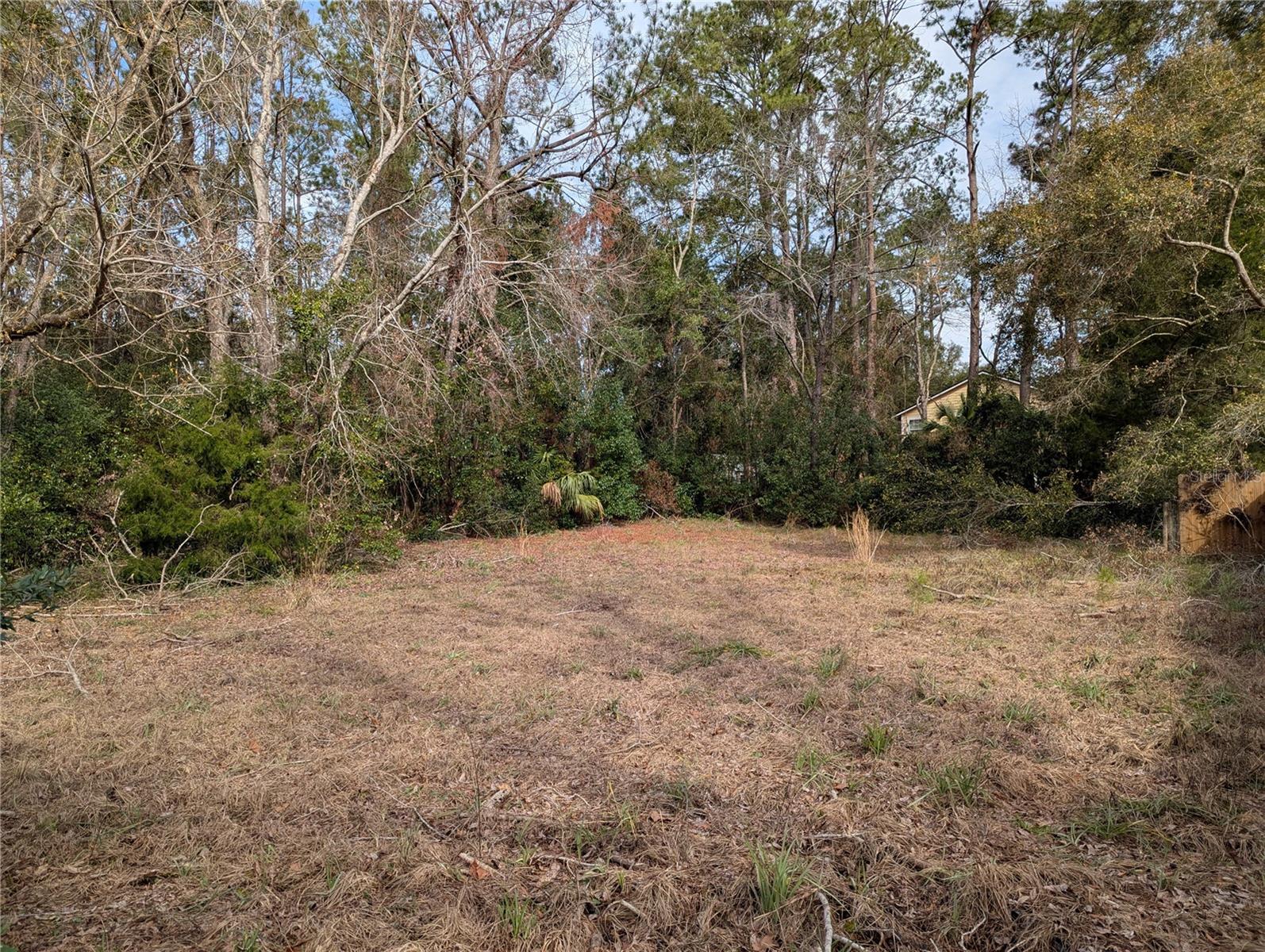 NW 187 RD, HIGH SPRINGS, FL, 32643