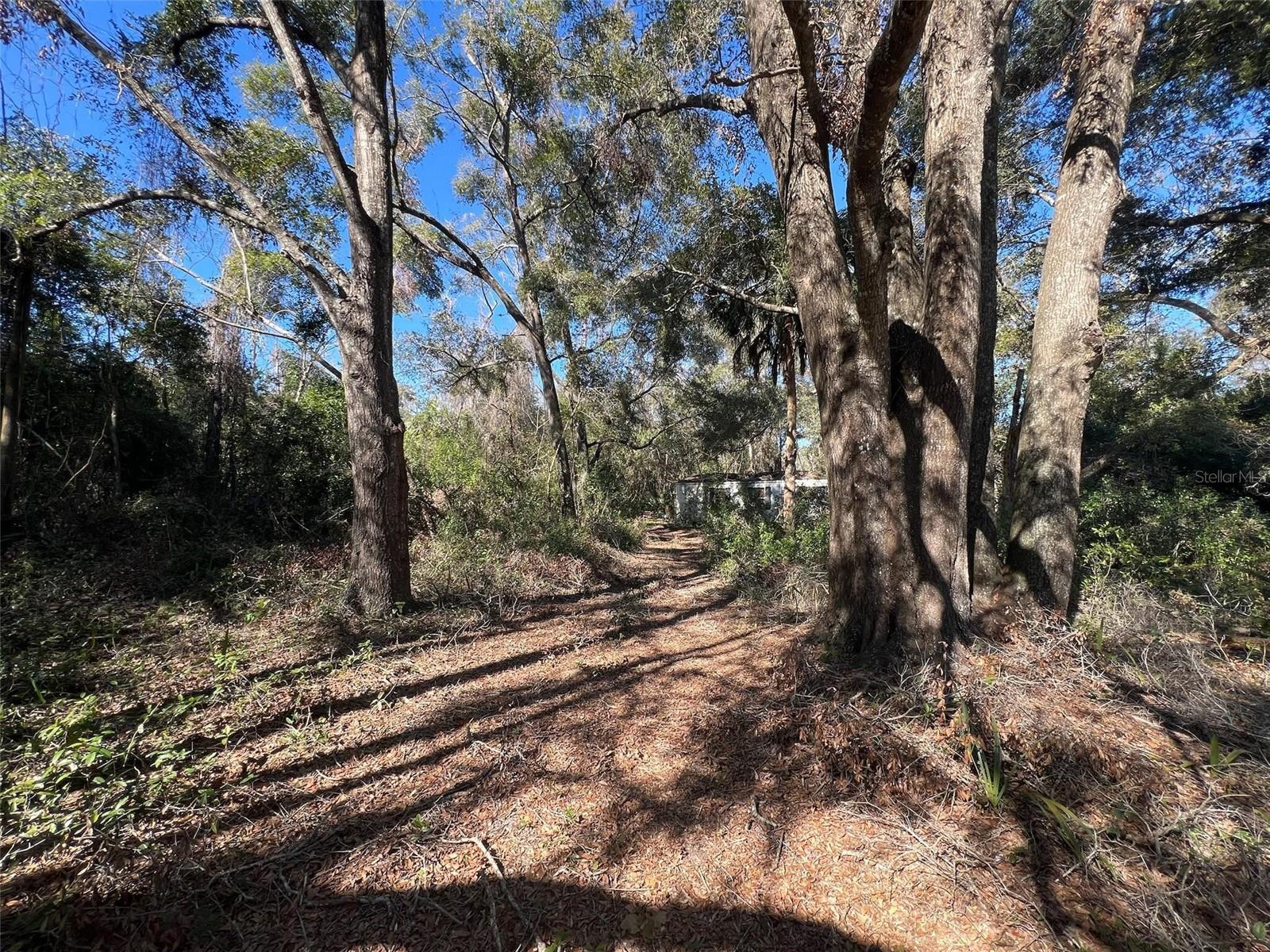10090 NW 38TH TER, CHIEFLAND, FL, 32626