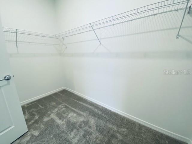3938 ALMOND BROOK BLVD, LAND O LAKES, FL, 34637