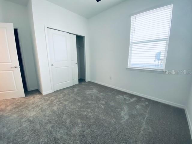 3938 ALMOND BROOK BLVD, LAND O LAKES, FL, 34637