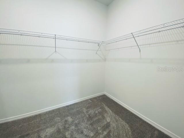 3938 ALMOND BROOK BLVD, LAND O LAKES, FL, 34637