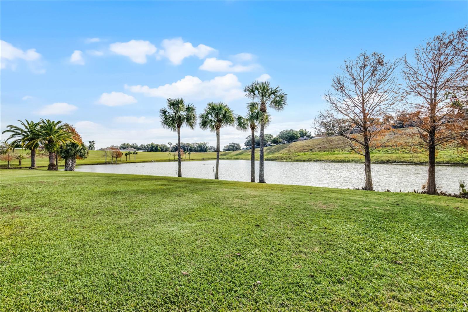 8101 CANYON LAKE CIR, ORLANDO, FL, 32835