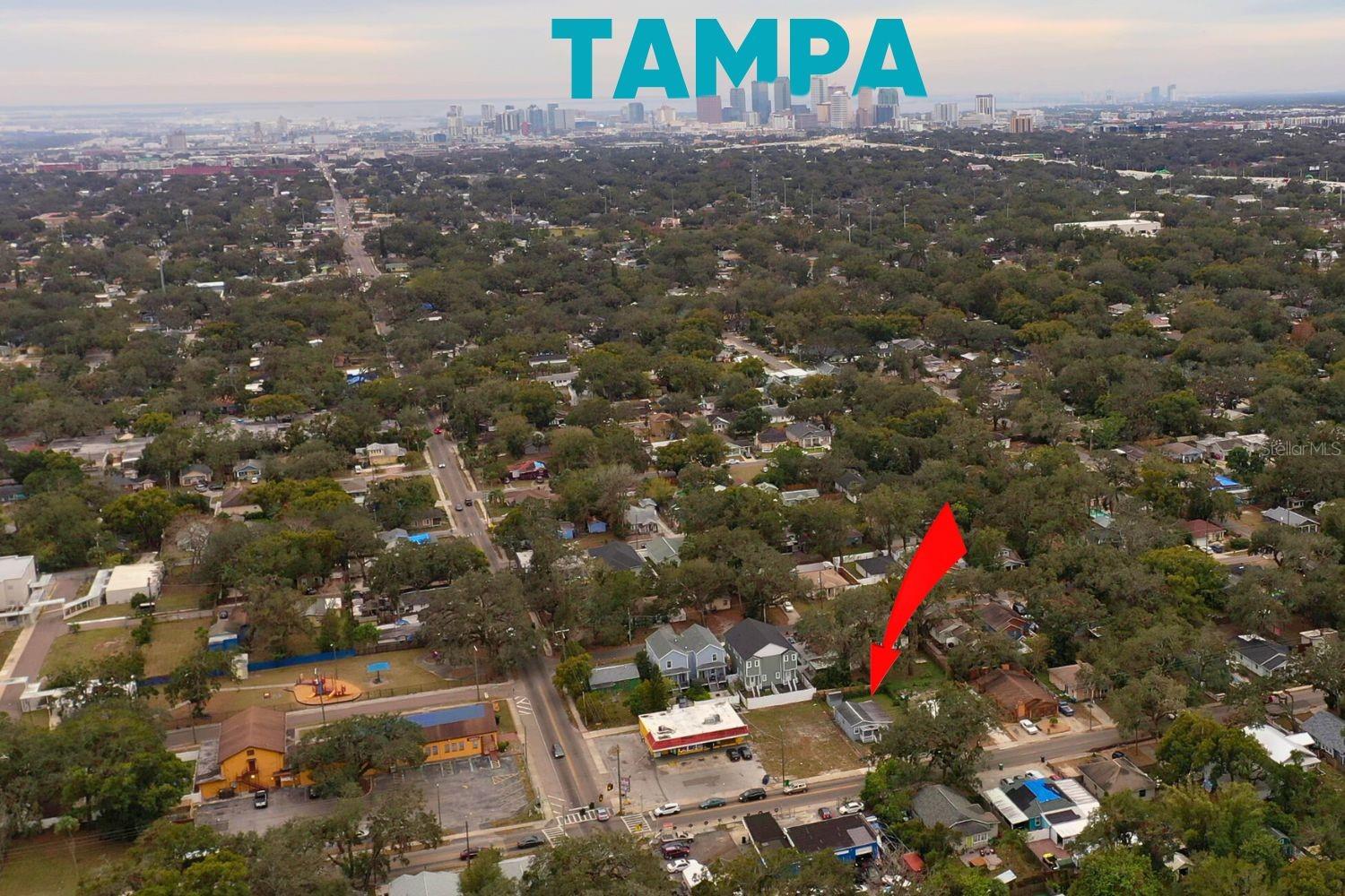 1317 E OSBORNE AVE, TAMPA, FL, 33603