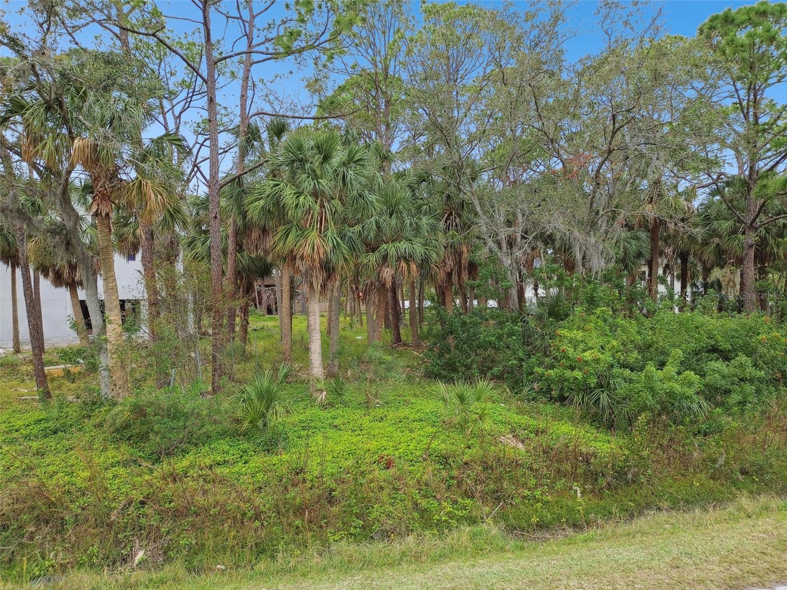 00 PHOENIX AVE, OLDSMAR, FL, 34677
