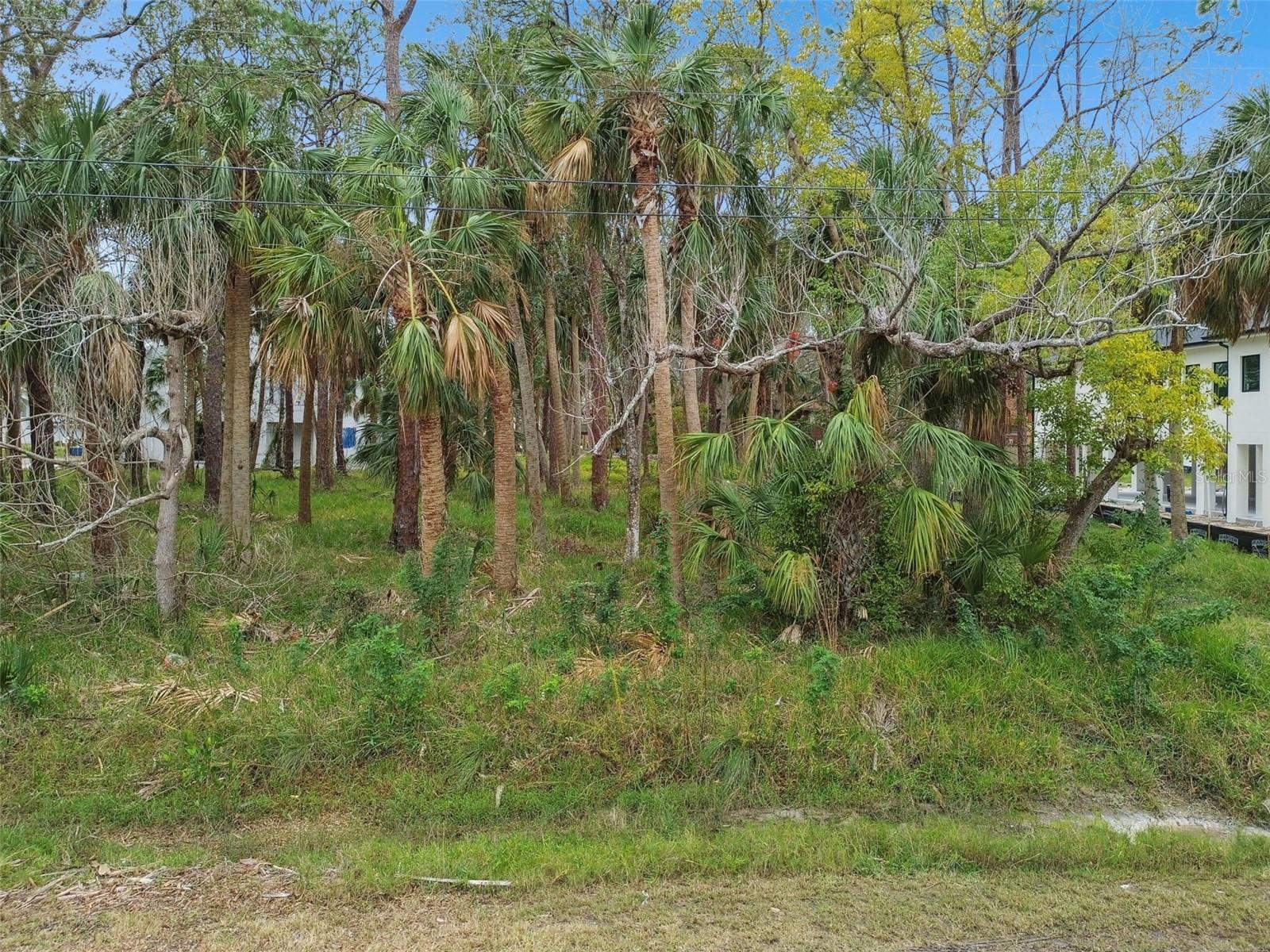 00 PHOENIX AVE, OLDSMAR, FL, 34677