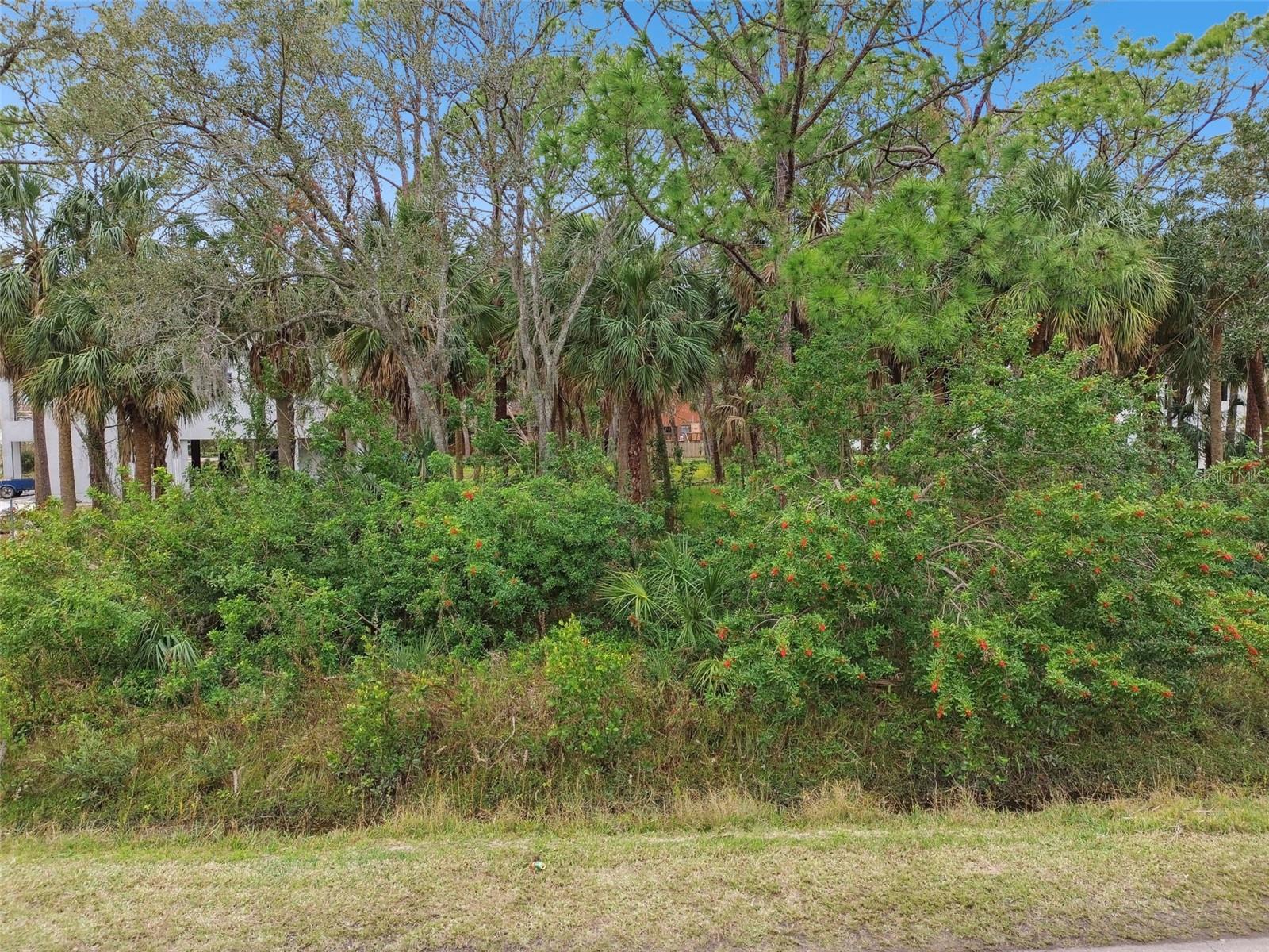 00 PHOENIX AVE, OLDSMAR, FL, 34677