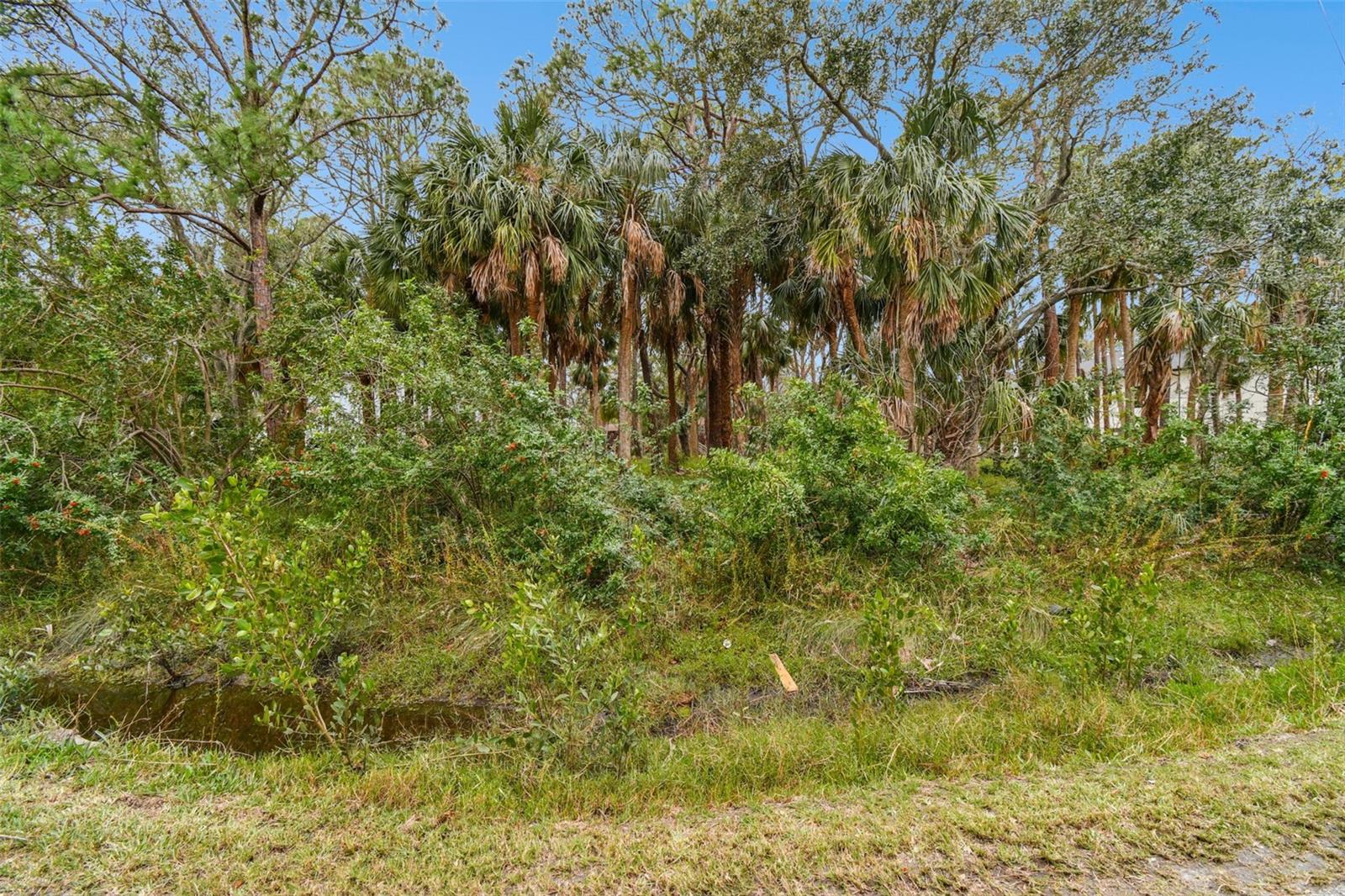 00 PHOENIX AVE, OLDSMAR, FL, 34677