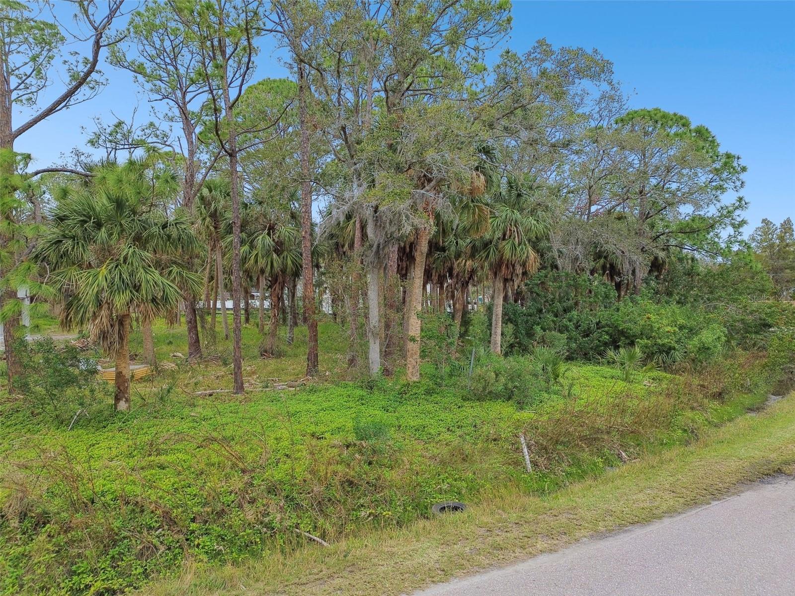 00 PHOENIX AVE, OLDSMAR, FL, 34677