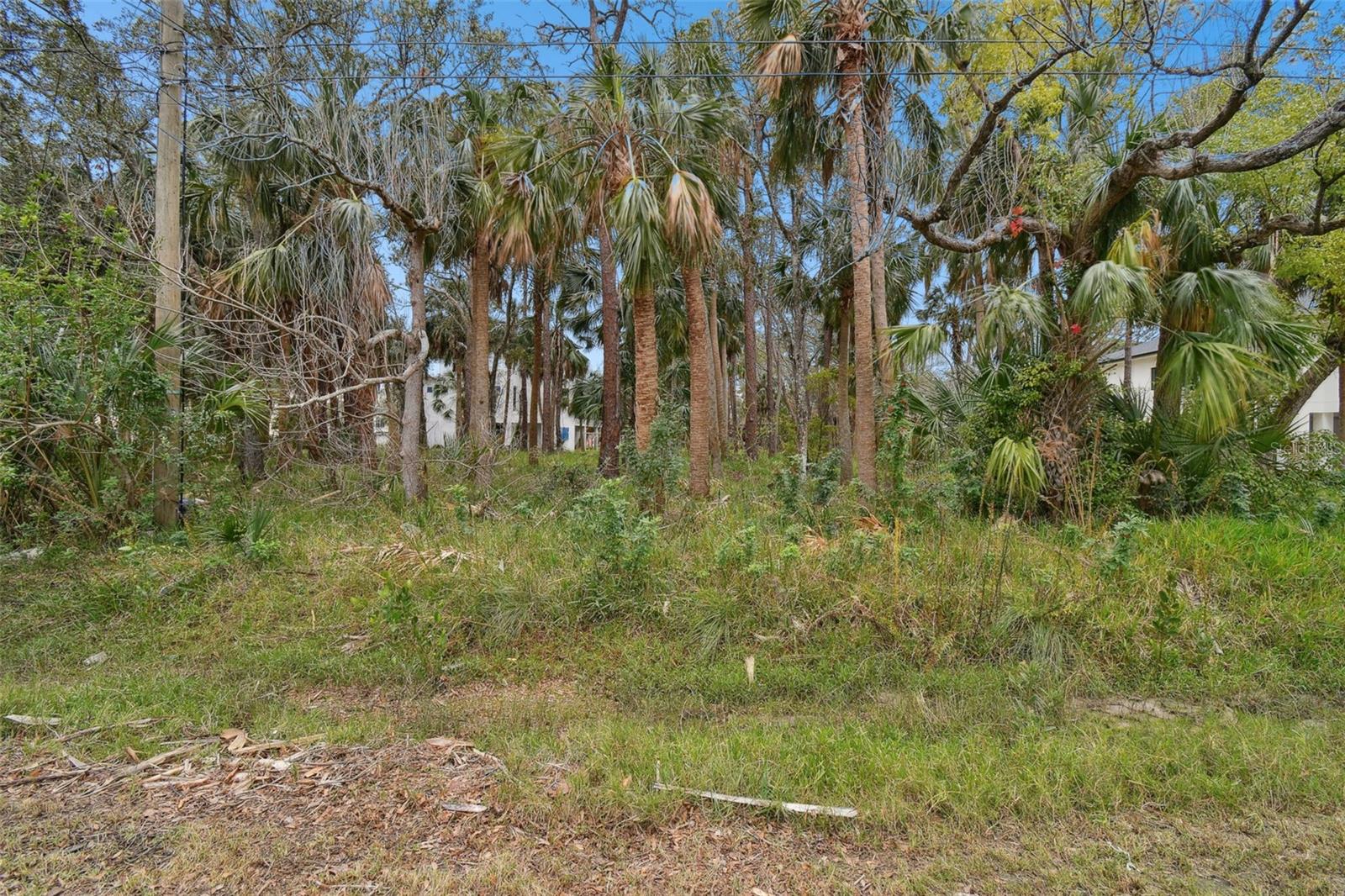 00 PHOENIX AVE, OLDSMAR, FL, 34677