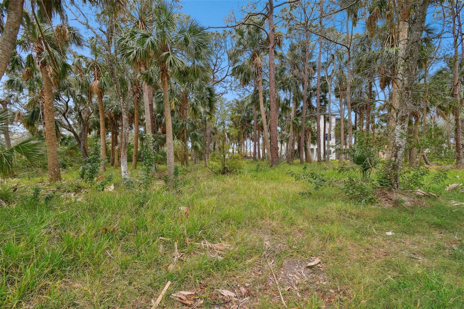 00 PHOENIX AVE, OLDSMAR, FL, 34677