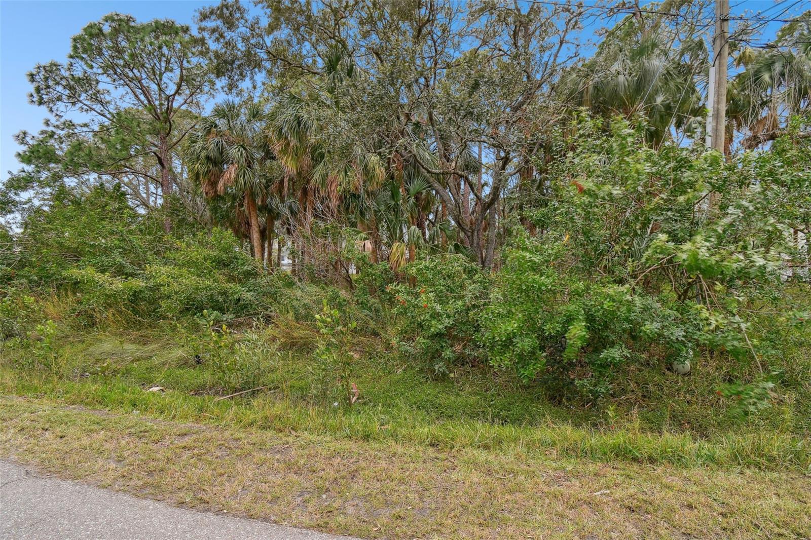 00 PHOENIX AVE, OLDSMAR, FL, 34677