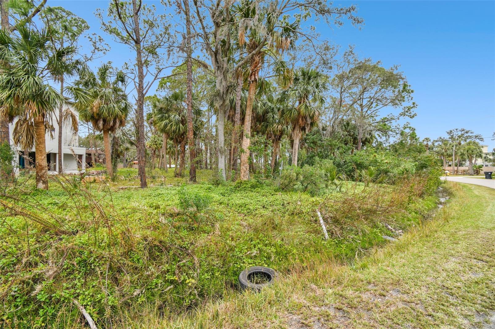00 PHOENIX AVE, OLDSMAR, FL, 34677