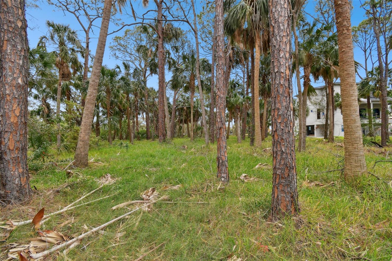00 PHOENIX AVE, OLDSMAR, FL, 34677