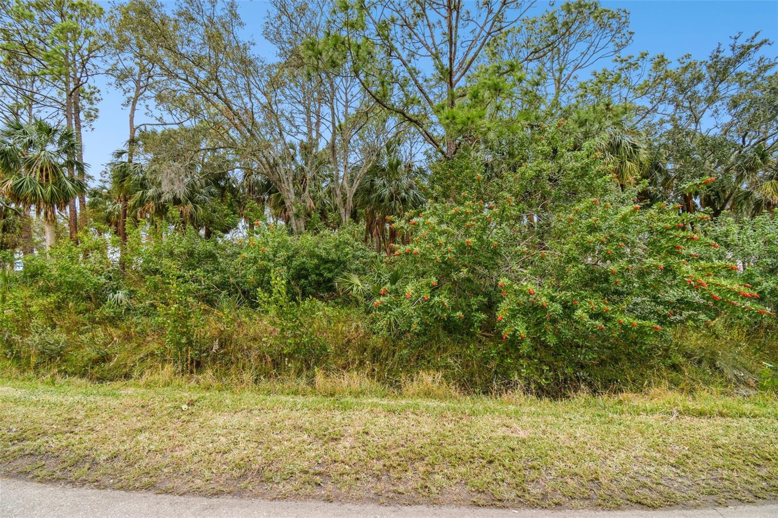00 PHOENIX AVE, OLDSMAR, FL, 34677