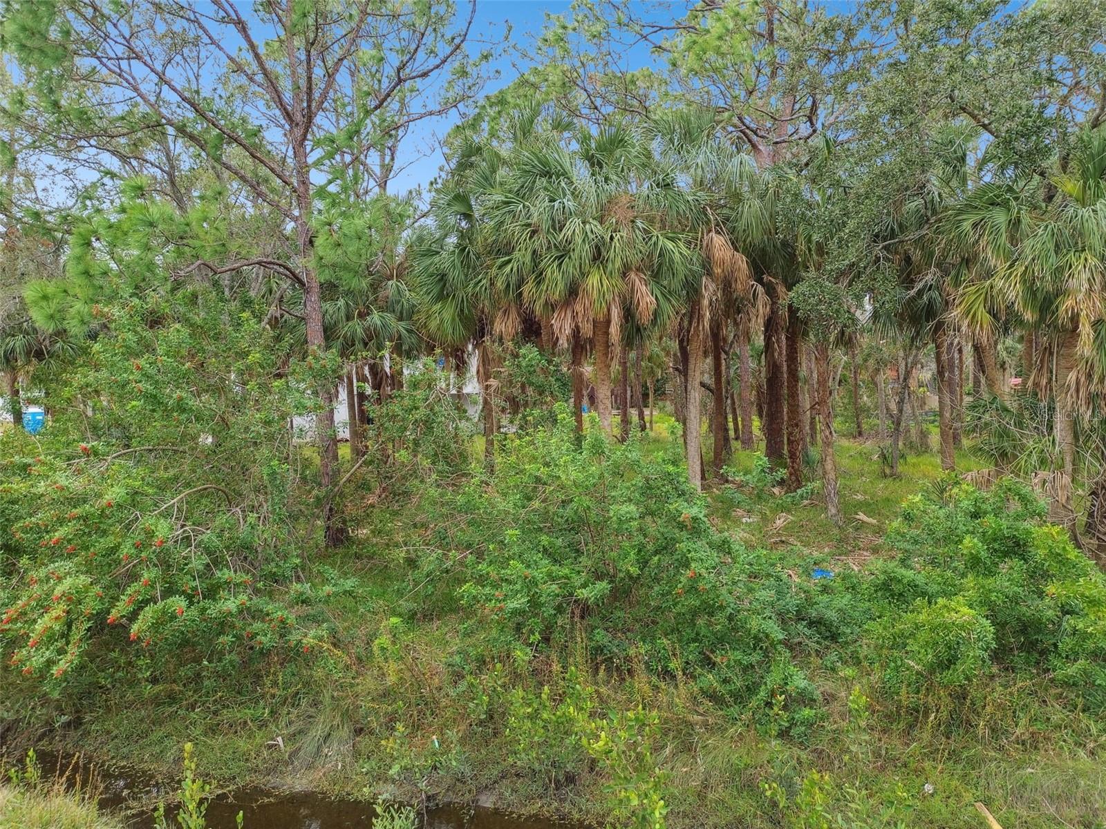 00 PHOENIX AVE, OLDSMAR, FL, 34677
