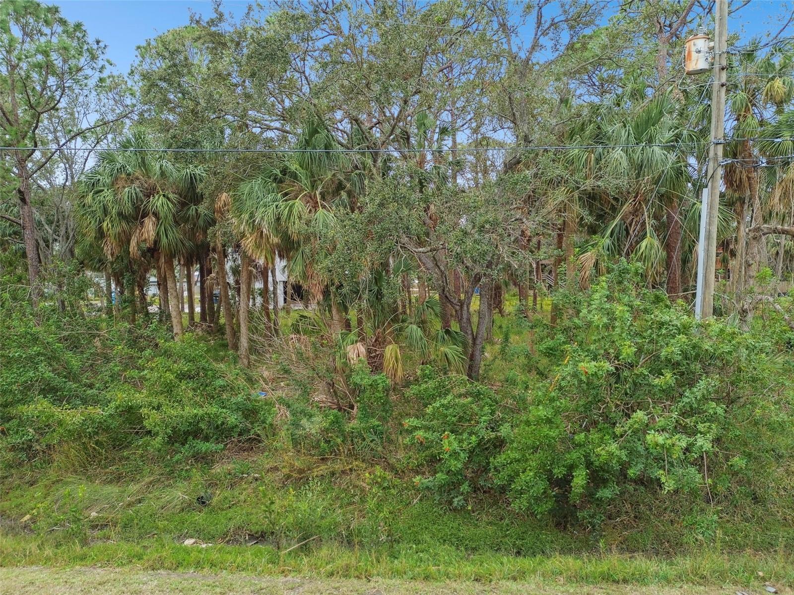 00 PHOENIX AVE, OLDSMAR, FL, 34677