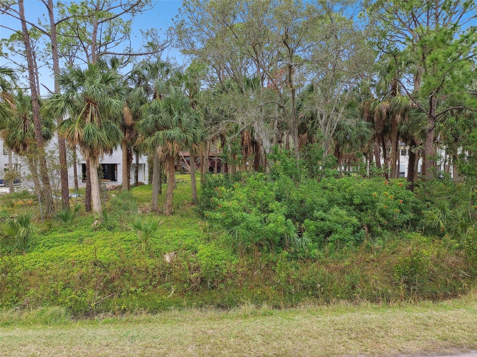 00 PHOENIX AVE, OLDSMAR, FL, 34677