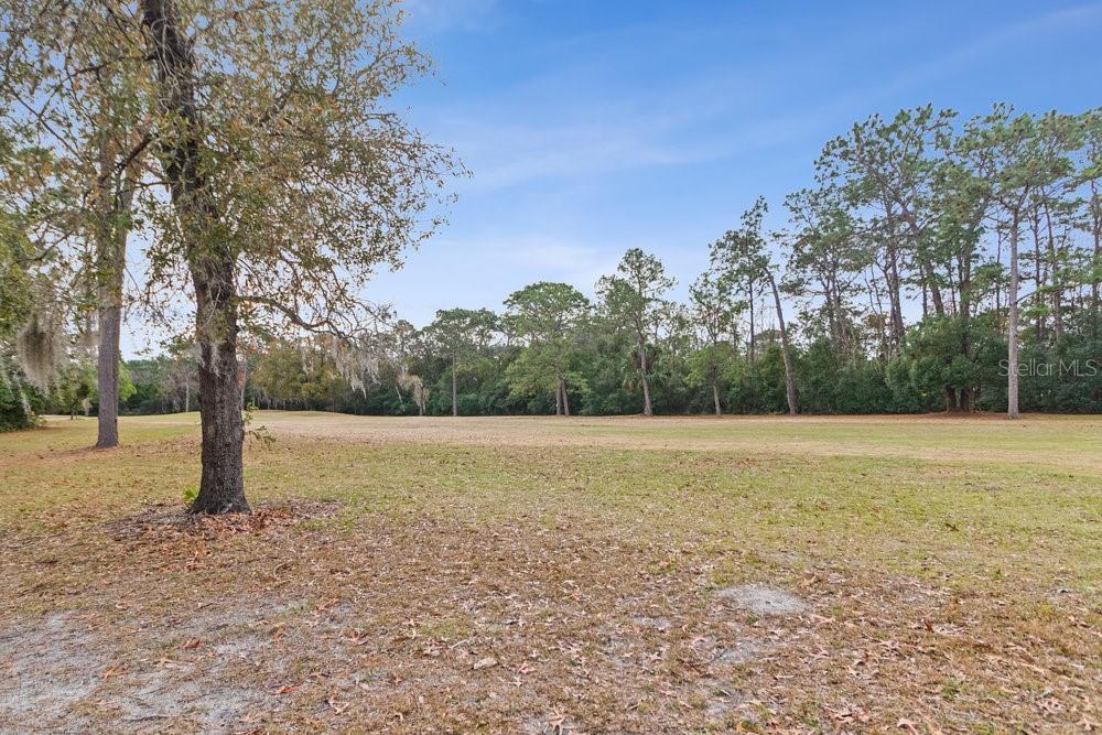 47 CHINABERRY CIR, HOMOSASSA, FL, 34446