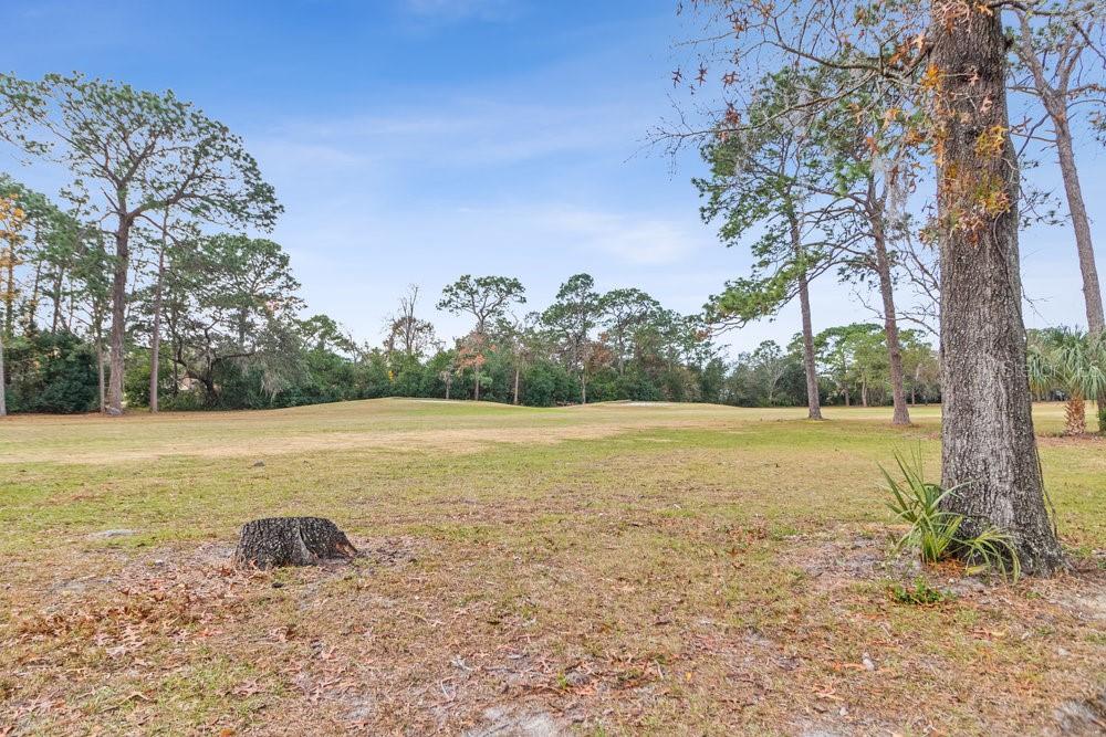 47 CHINABERRY CIR, HOMOSASSA, FL, 34446