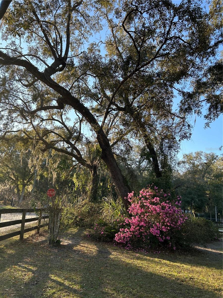 936 S COUNTY ROAD 21, HAWTHORNE, FL, 32640