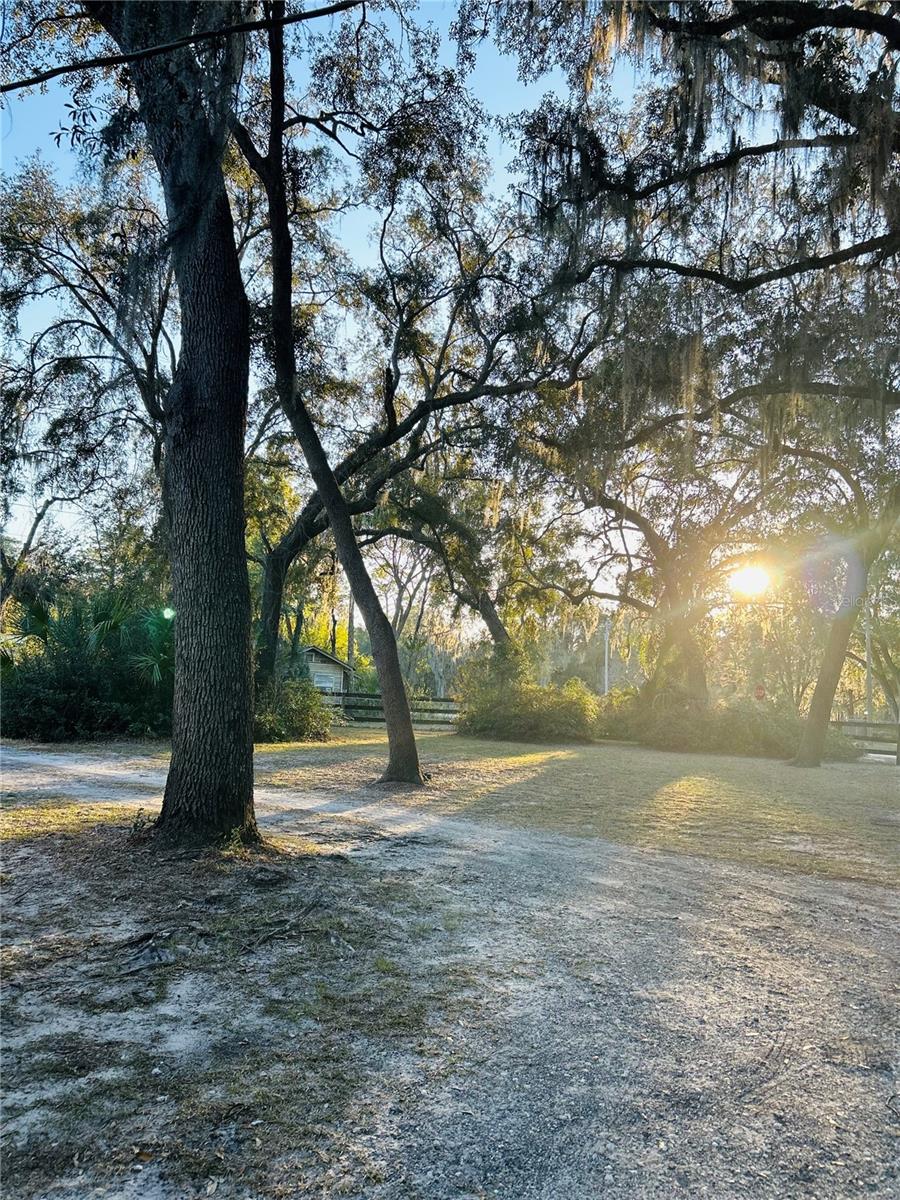 936 S COUNTY ROAD 21, HAWTHORNE, FL, 32640