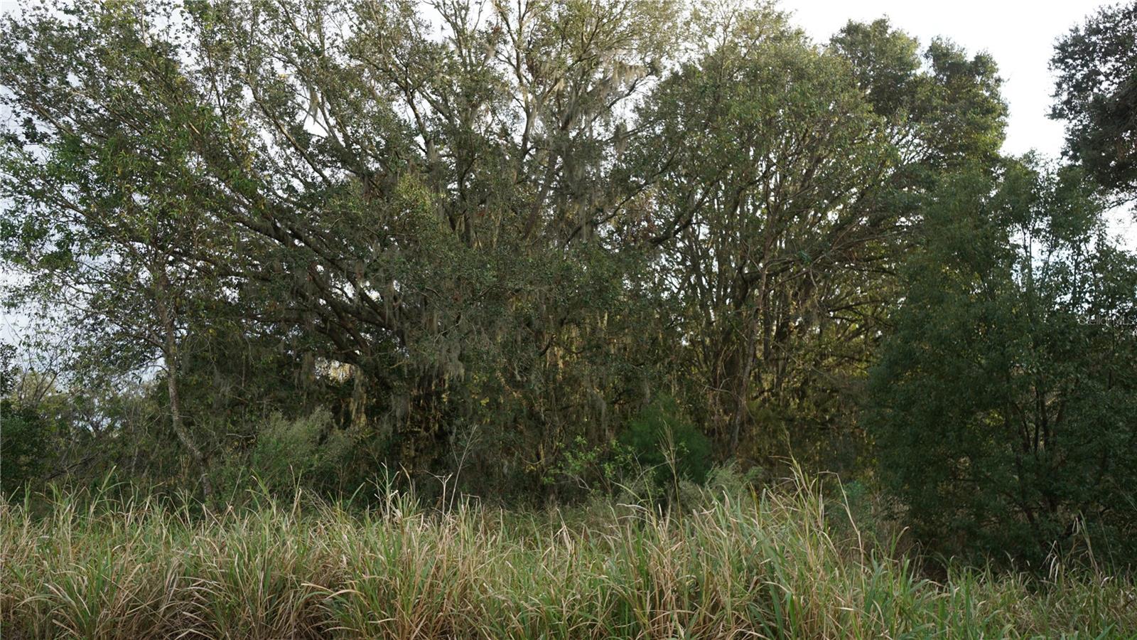0 CR-48, YALAHA, FL, 34797