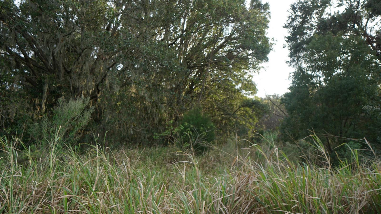 0 CR-48, YALAHA, FL, 34797