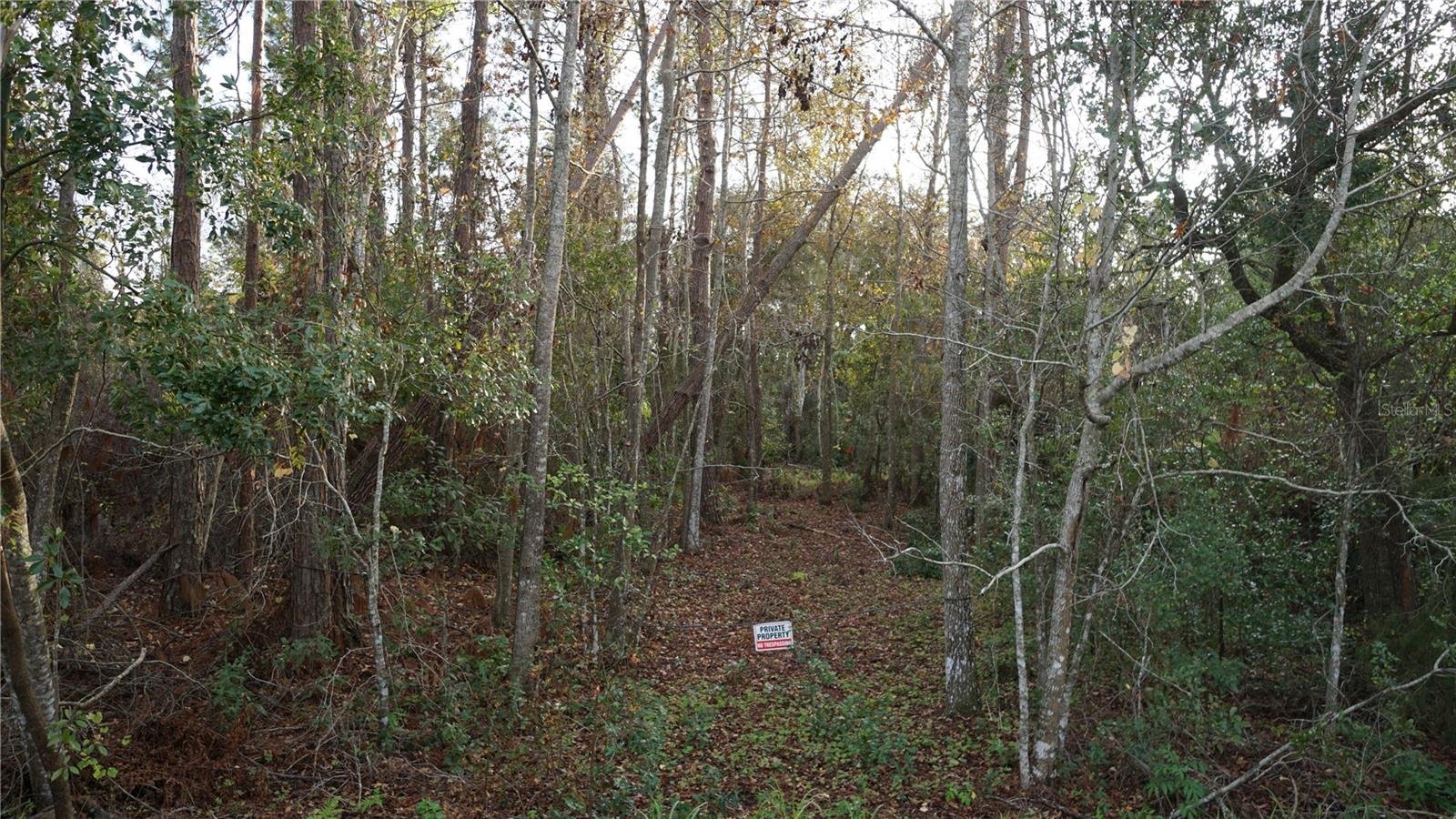 0 CR-48, YALAHA, FL, 34797