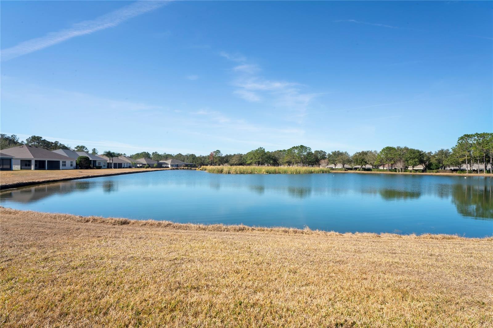 5149 JENNINGS TRL, BROOKSVILLE, FL, 34601