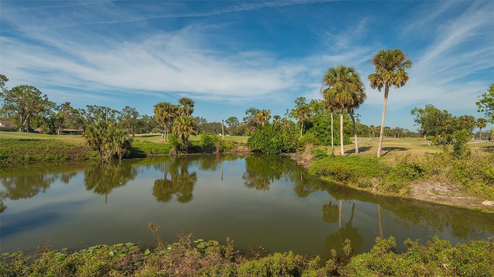 4762 MEREDITH LN, SARASOTA, FL, 34241