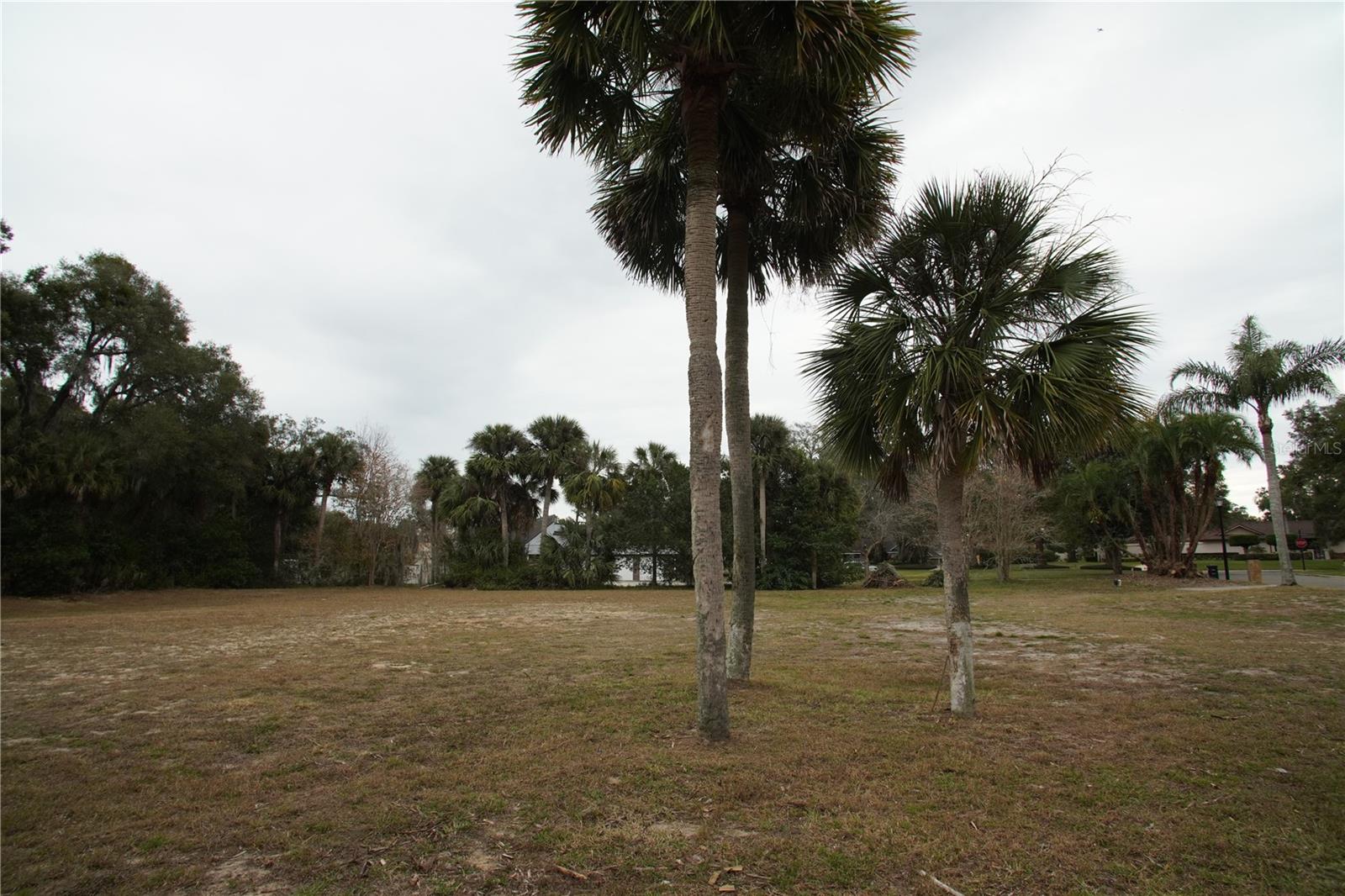 200 SWEETWATER CLUB PL, LONGWOOD, FL, 32779
