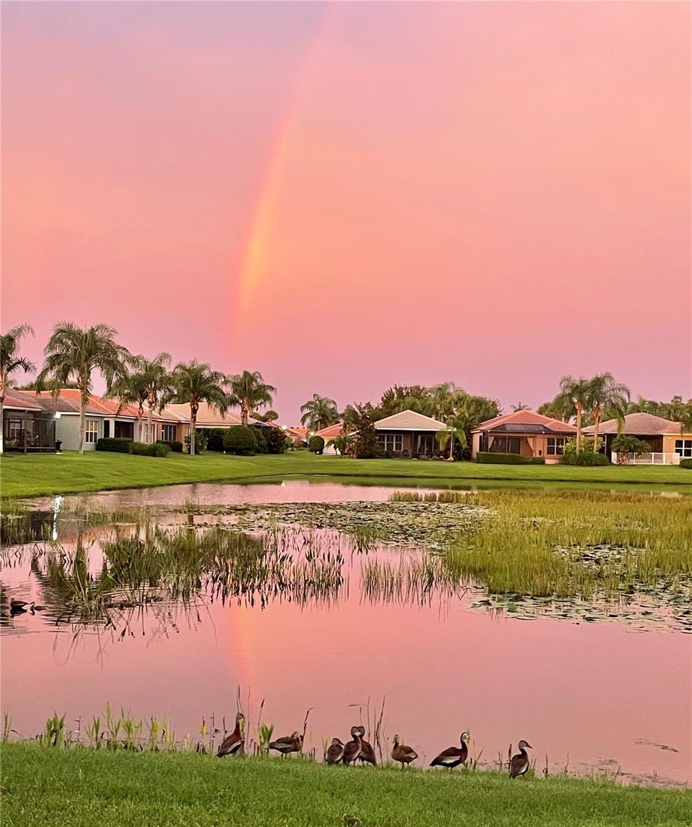 15707 CRYSTAL WATERS DR, WIMAUMA, FL, 33598