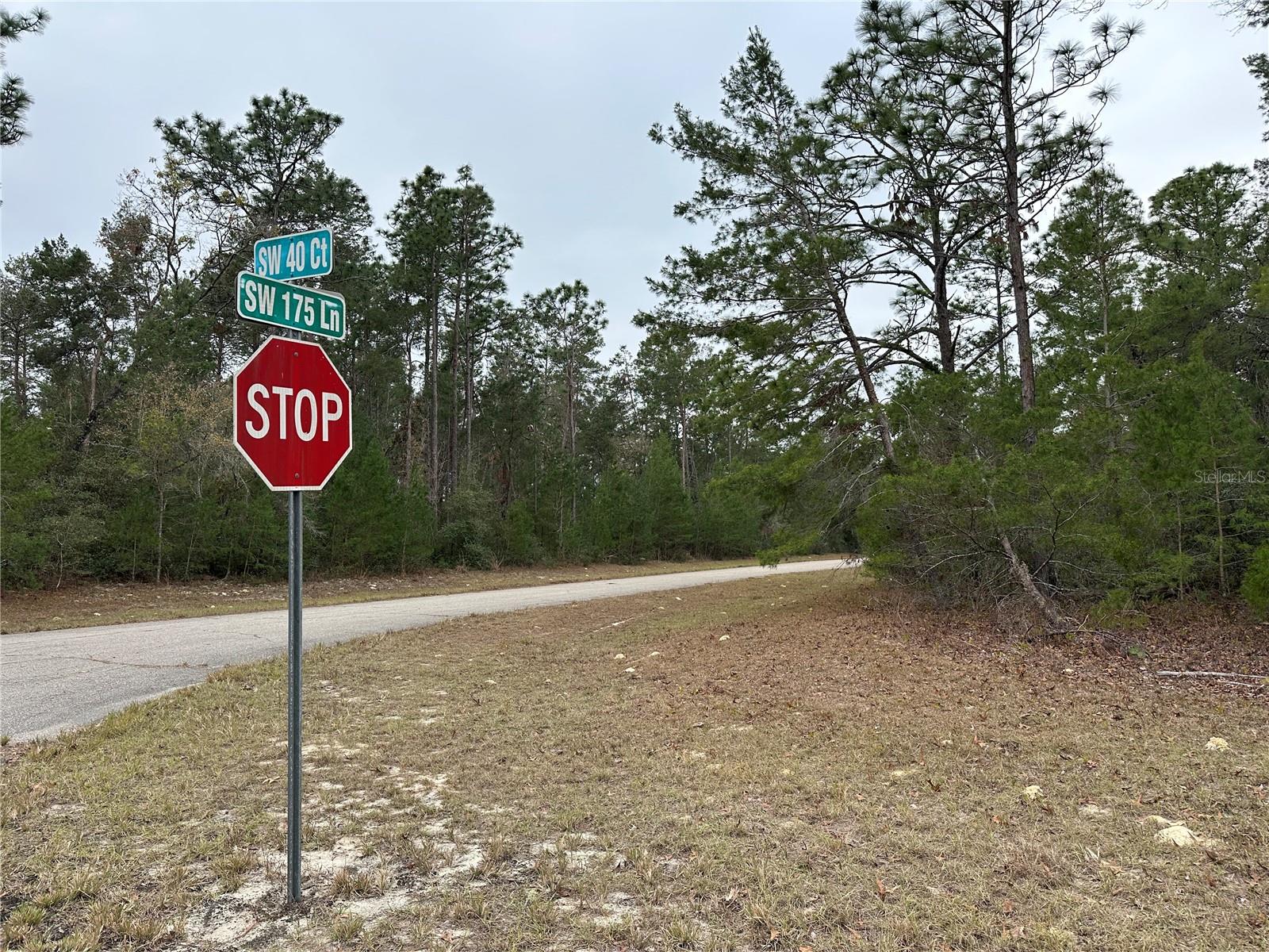 0000 SW 175TH LN, OCALA, FL, 34473