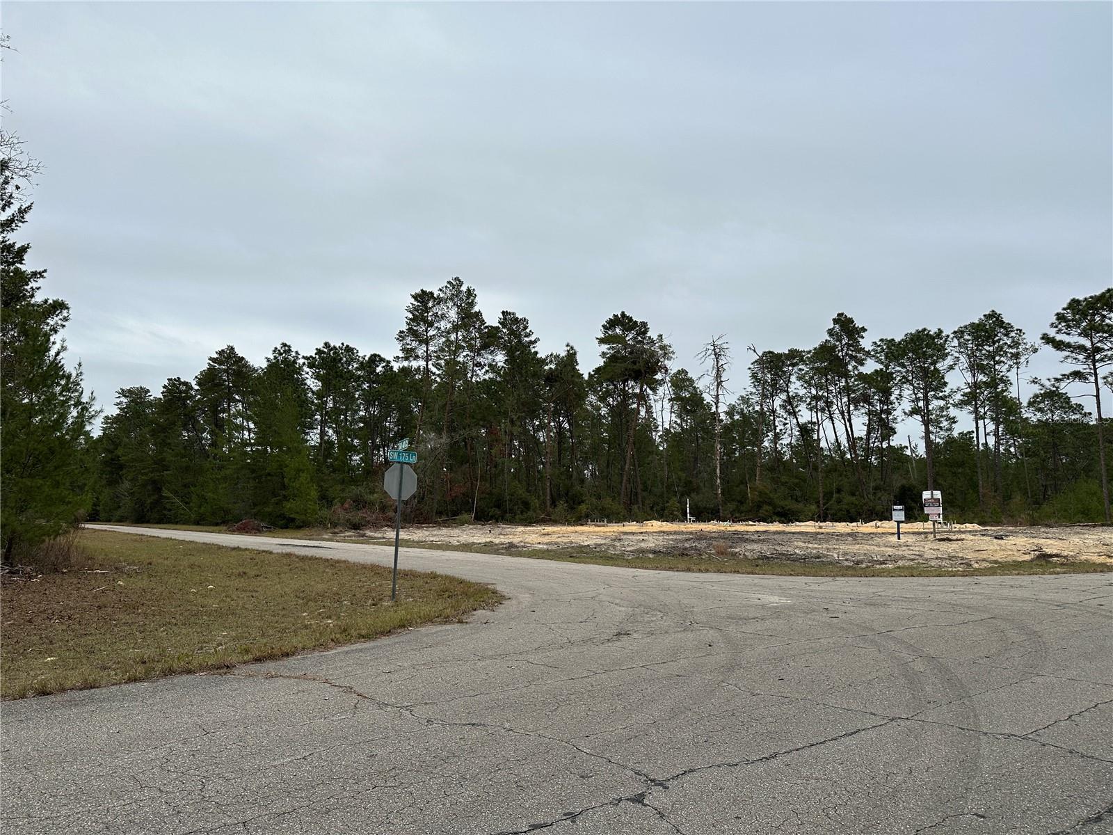 0000 SW 175TH LN, OCALA, FL, 34473