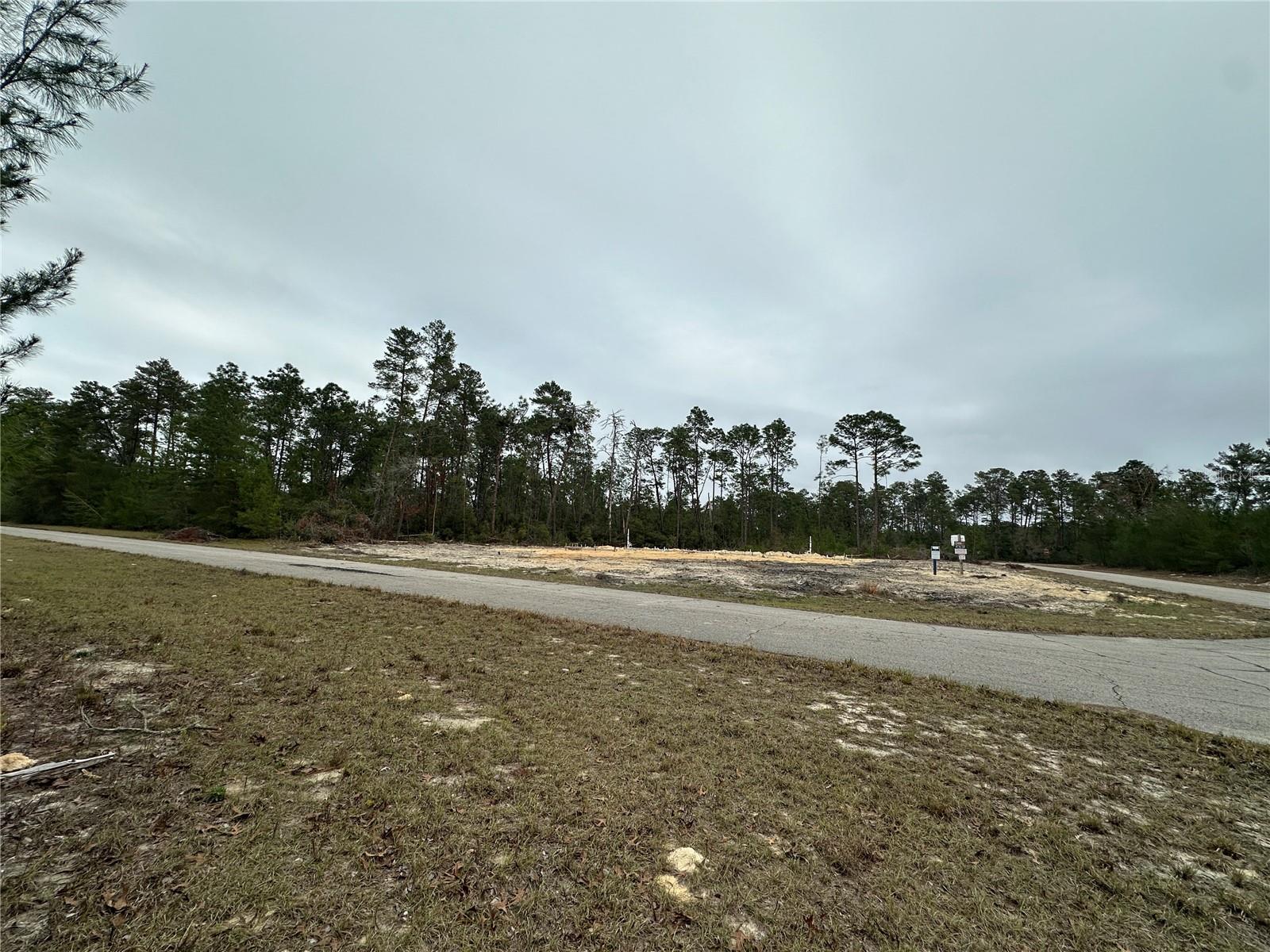 0000 SW 175TH LN, OCALA, FL, 34473