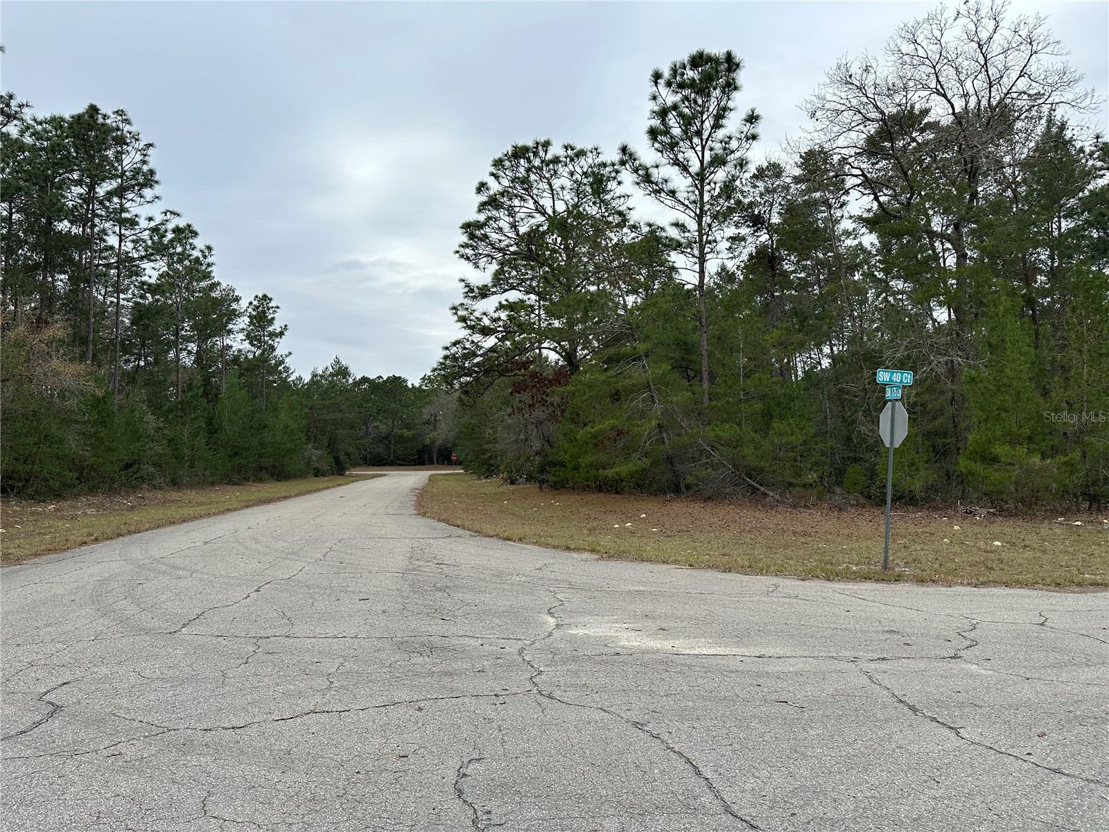 0000 SW 175TH LN, OCALA, FL, 34473