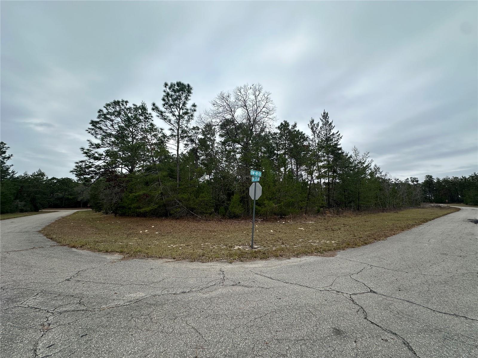 0000 SW 175TH LN, OCALA, FL, 34473