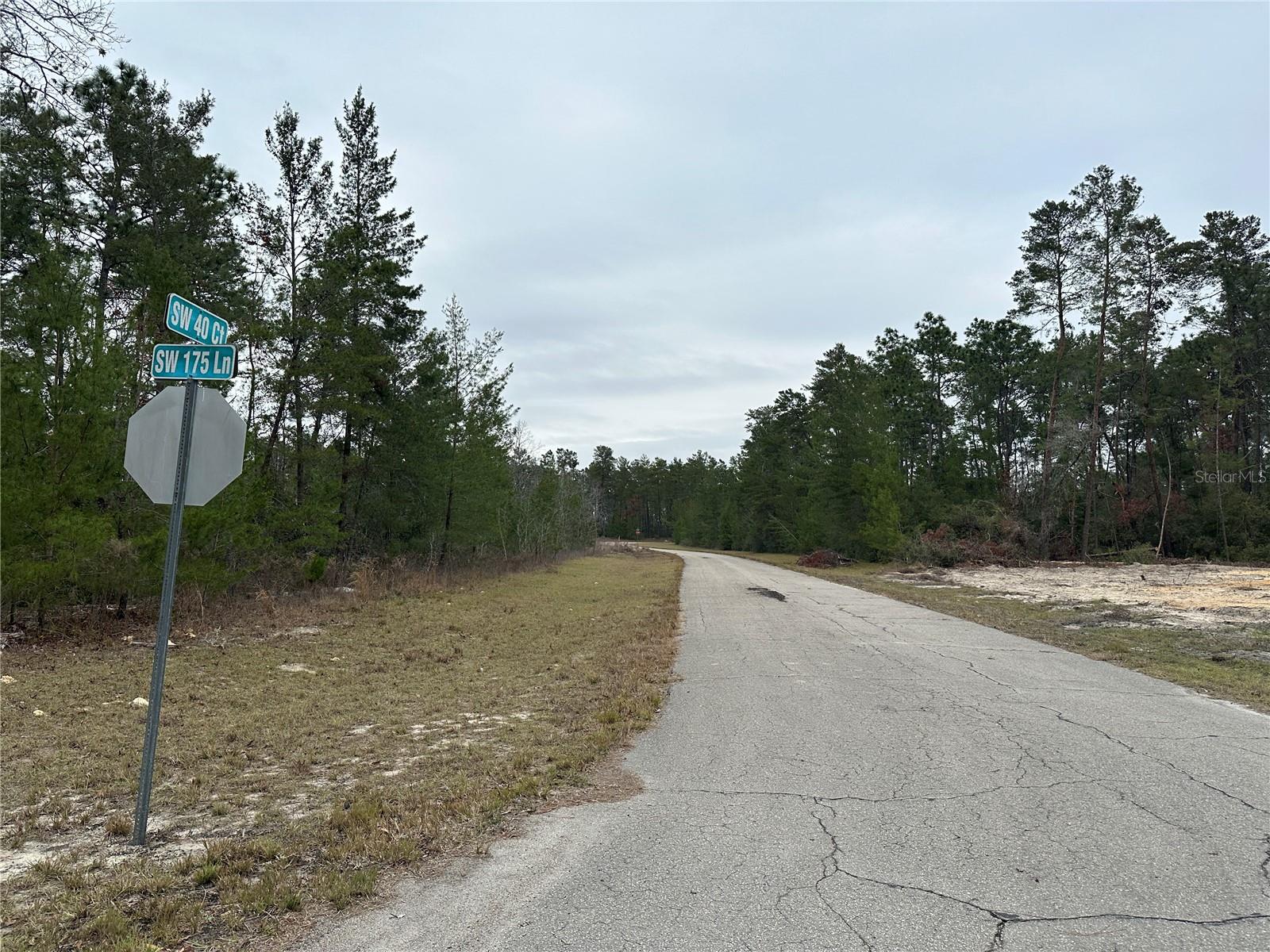 0000 SW 175TH LN, OCALA, FL, 34473