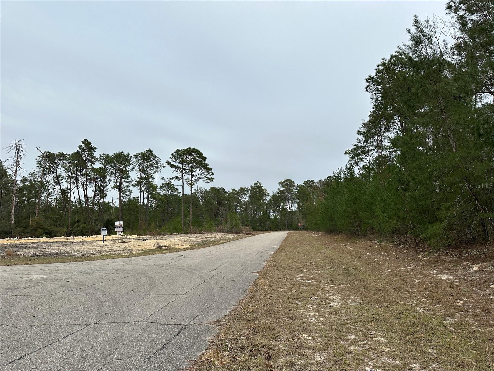 0000 SW 175TH LN, OCALA, FL, 34473