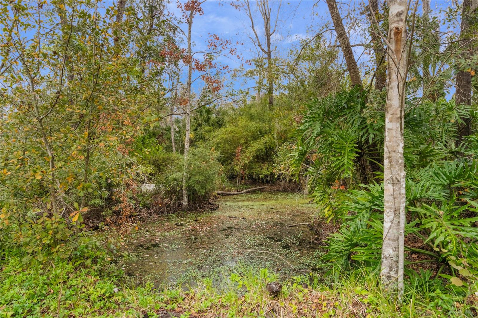 8045 HAPPY TRL, KISSIMMEE, FL, 34747
