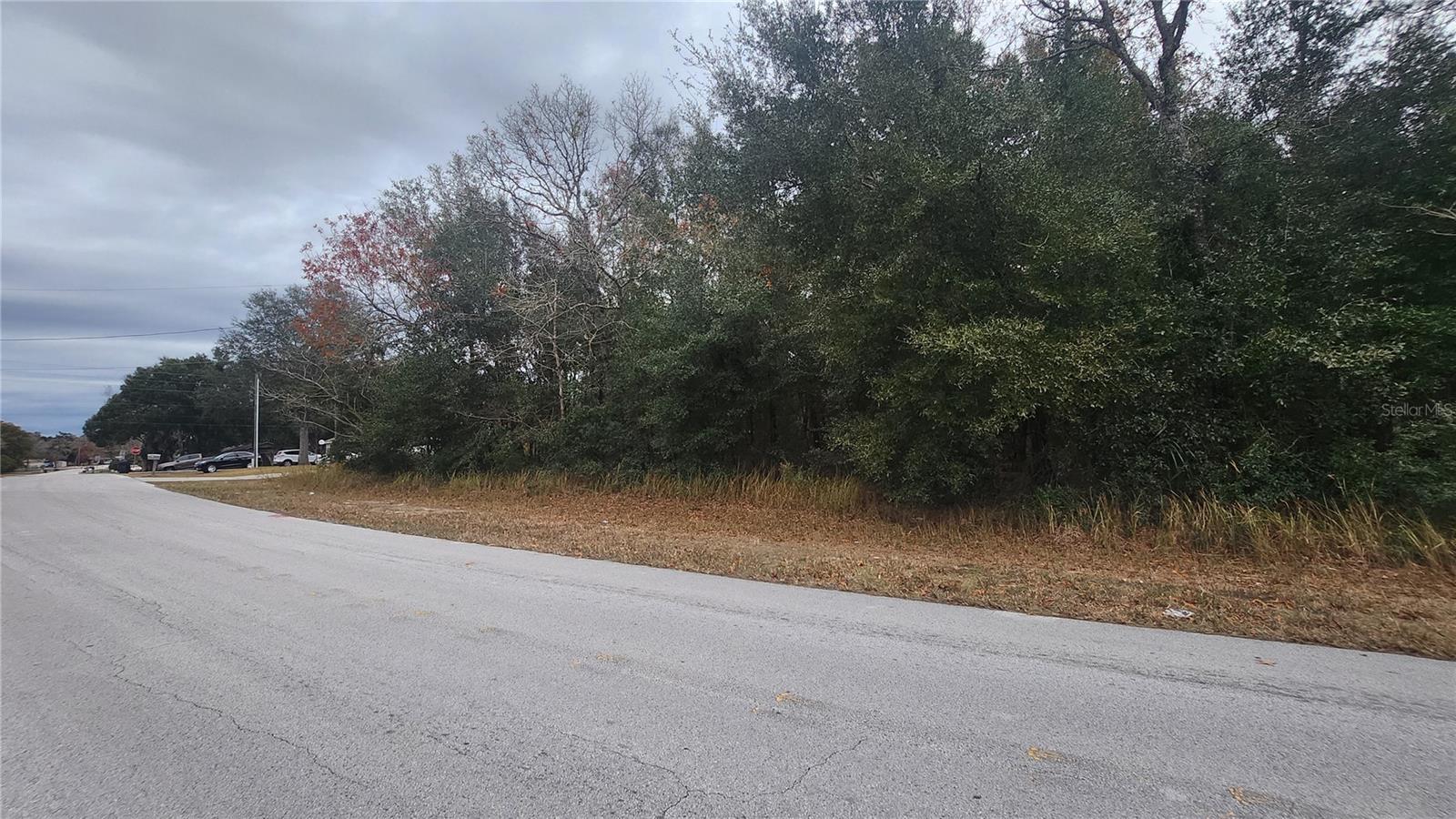 00 WATER RD, OCALA, FL, 34472