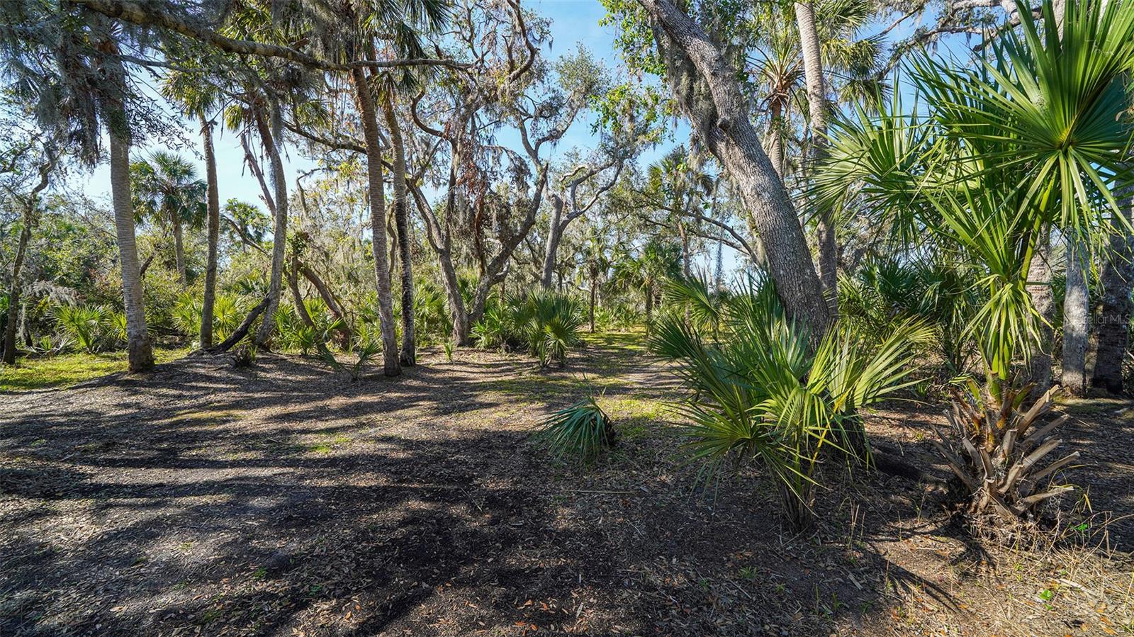 1625 DARBY RD, SARASOTA, FL, 34240